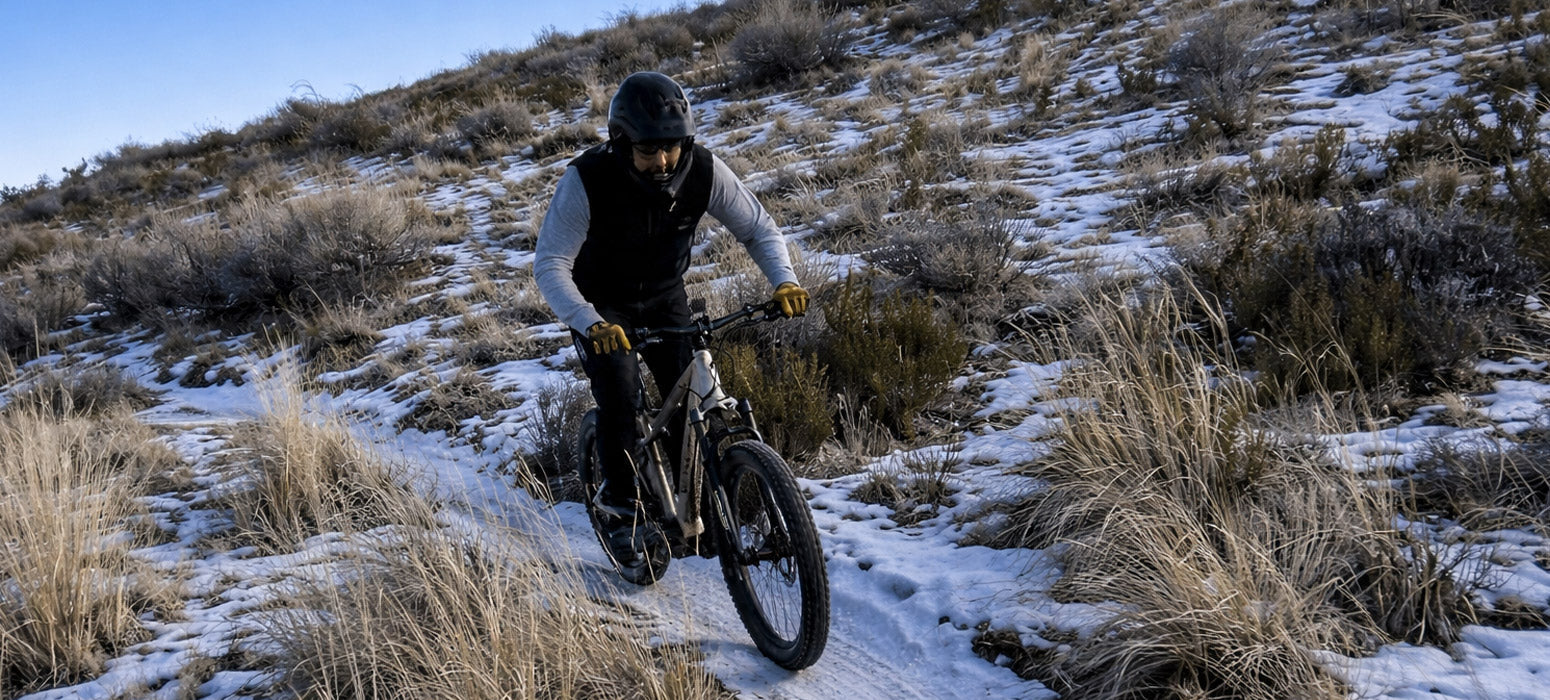 Electric Bikes in Carson City