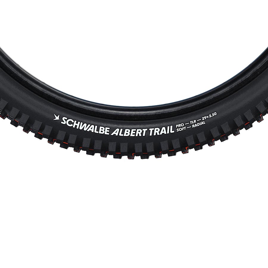 Albert Trail Pro