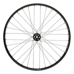 Proterra Tough i30