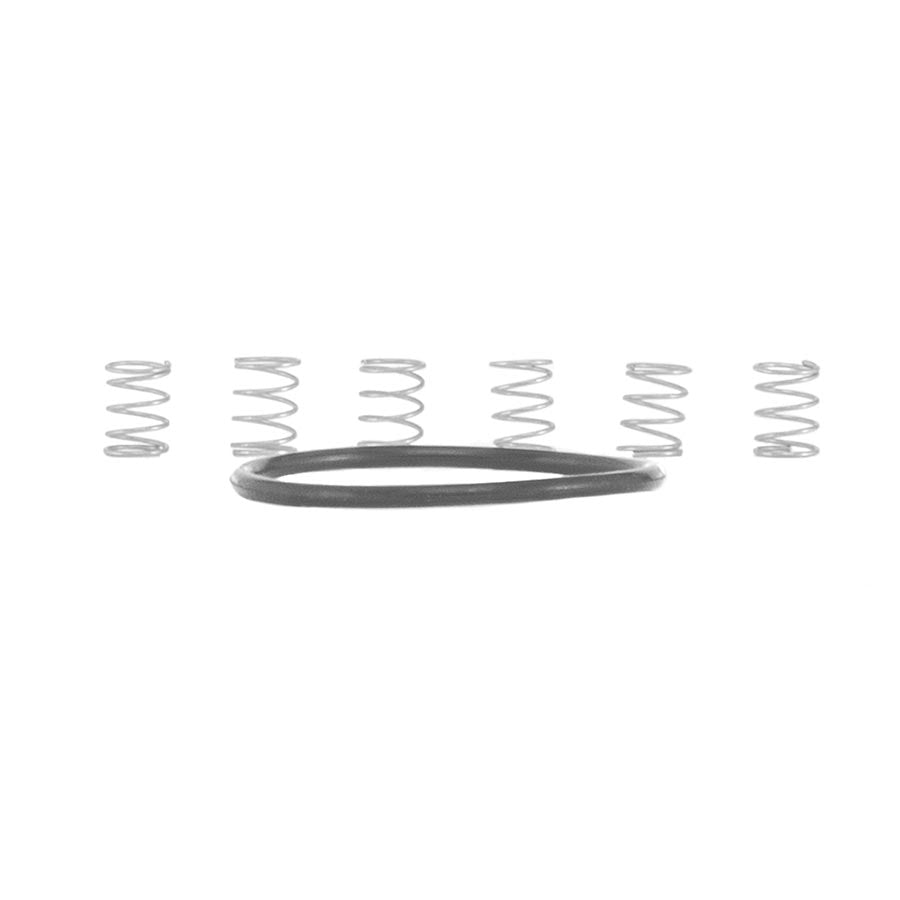 TORCH MTN Pawl Spring Kit