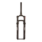 Reba Gold 2P Remote B1