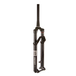 Reba Gold 2P Remote B1