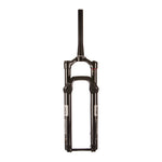 Reba Gold 3P Crown B1