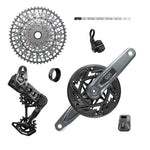 GX T-Type Pedal Assist D2