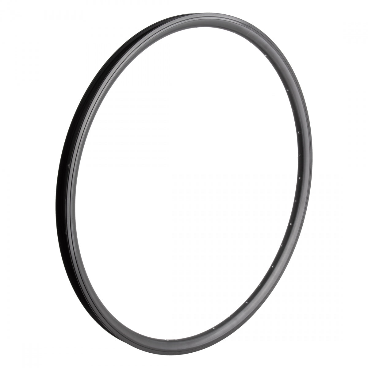 RIM WM 29 622x25 J25SG 36 BK/BK-MSW SV