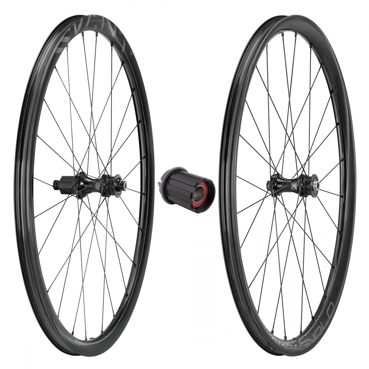 WHL PR CPY 700 LEVANTE DB 2WF HG 12mm THRU