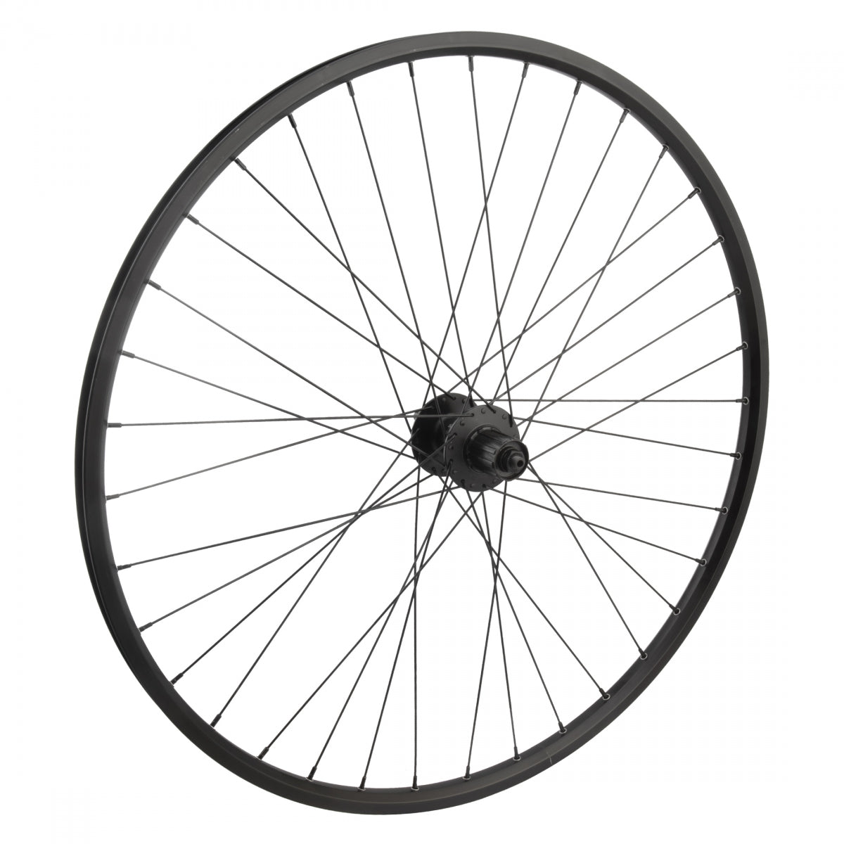 WHL RR 29 622x19 RYDE ZAC19 BK DISC 36 SHI TX506 8-11sMT 6B QR BK 135mm SS 2.0 BK