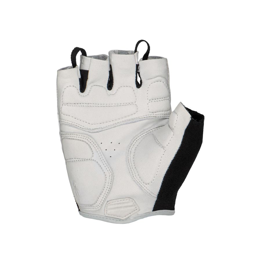 Aramus Classic 2021