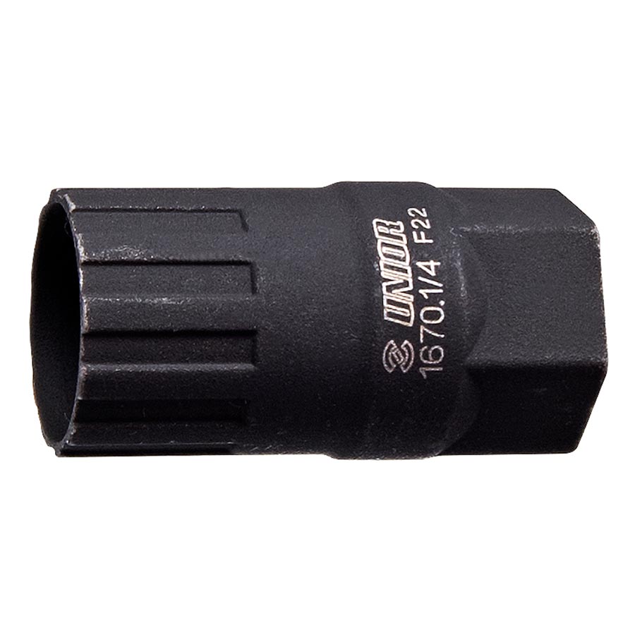 Freewheel removal tool
