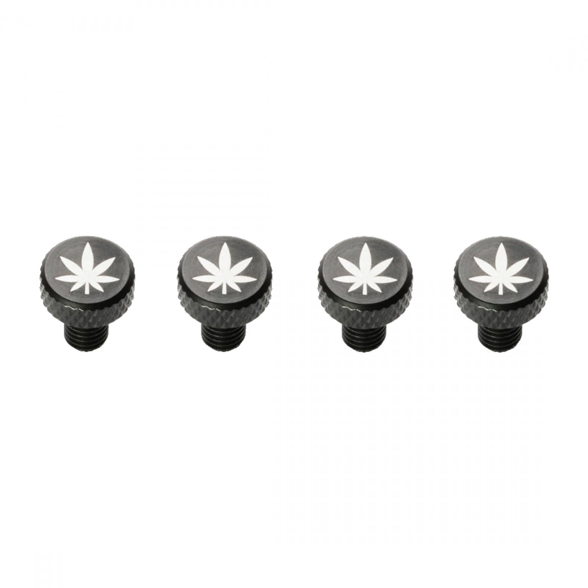 HARDWARE BOLTS PDW DECORATIVE ZIT BITZ M5 LEAF STof4